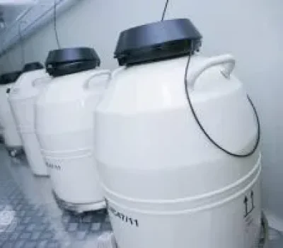 辅酶不是卵子质量补考券，促排期别让焦虑把钱花成心理安慰
