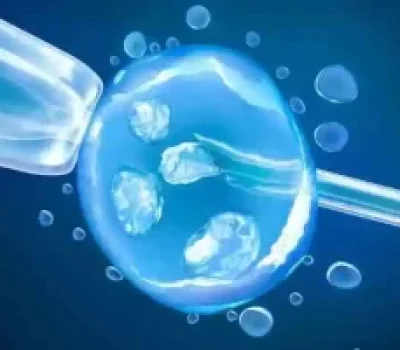 试管移植后胎儿偏小别急着补药，先核对孕周和连续超声结果