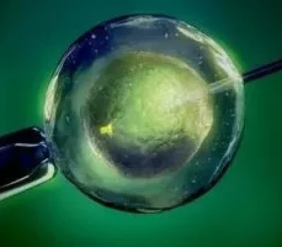 试管移植后越算越慌？孕周按医学算法，症状不能替代检查