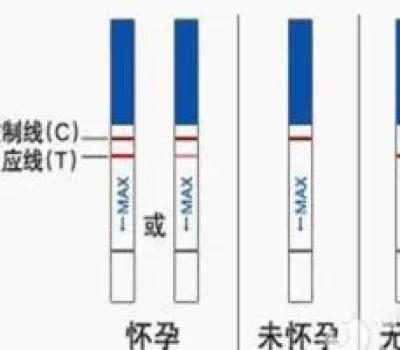 试管胚胎筛过也会停育，别先怪自己，先查遗传学线索