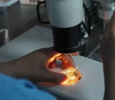 移植后卧床越久越好吗，真正要避免的是重体力和剧烈运动