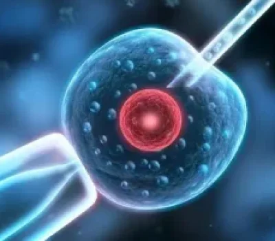 试管婴儿不是高级备孕，成功率从来不是广告说了算
