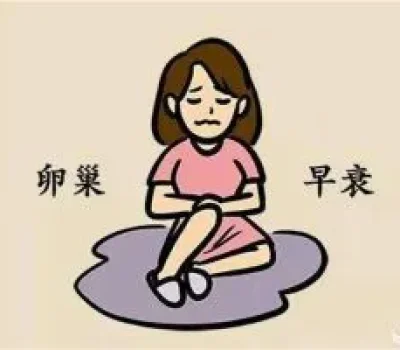 试管婴儿别只盯着卵子数量，年龄胚胎和子宫才是关键