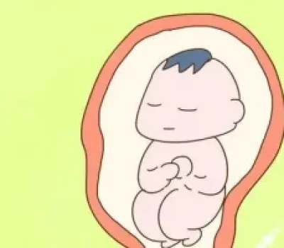 试管婴儿最贵的不是药费，而是被误区带偏的那段弯路