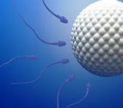 试管婴儿最贵的坑不是促排风险而是包成功承诺