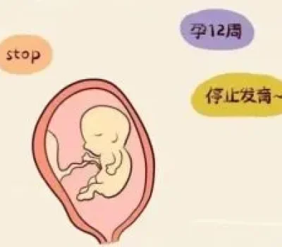 试管婴儿选医院别只看排名，成功率从来不是个人保单