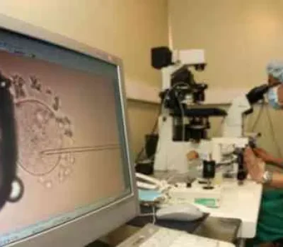 试管移植前后别躺成木头，真正该盯紧的是用药、复查和异常信号
