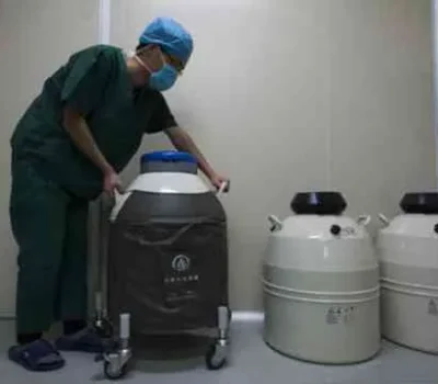 长方案不是写死的日历，取卵移植要给身体留出调整空间