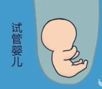 鲜胚移植为何被取消，身体状态和胚胎着床节奏比硬着床更重要