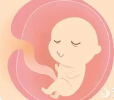 促排卵后体重涨了3公斤，是假胖还是危险水肿？