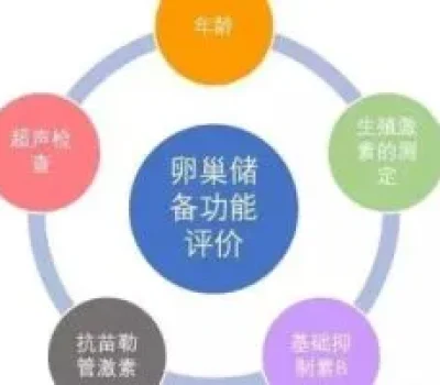六十七岁绝经后怀孕，别把怀孕和自然受孕混为一谈