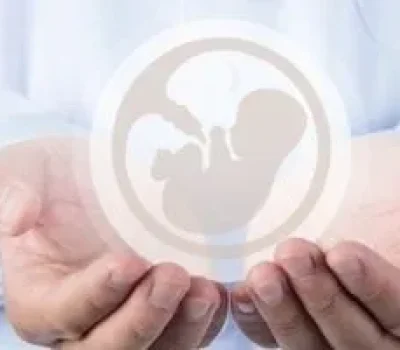 冻胚移植不是按日历抢跑，内膜激素和宫腔条件才是关键