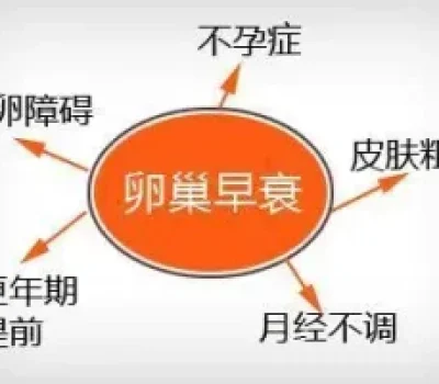 基础卵泡少不等于卵子质量差，影响的是胚胎选择而非命运归零