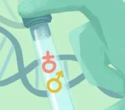 挂上名医的号就能怀孕吗，宫腔镜能解决什么问题