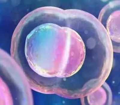 第三代试管婴儿不是包成功，而是排除已知遗传风险