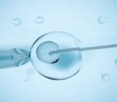 降调不是盯着一个数字，卵泡内膜和激素要综合判断