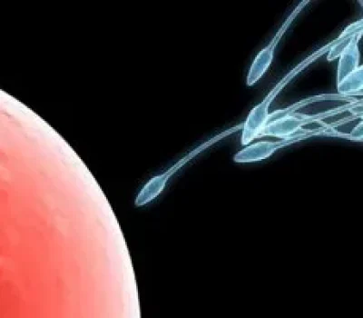 高龄做第三代试管，胚胎筛查不是生育保险单