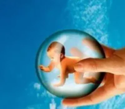 取卵不是越多越好，十九枚卵最后为何只剩两枚可移植胚胎