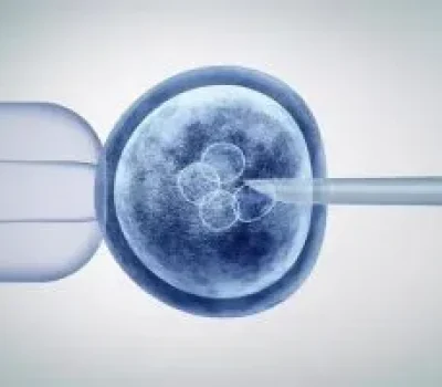 试管婴儿不是卵子越多越容易成功，别把努力交给缴费单