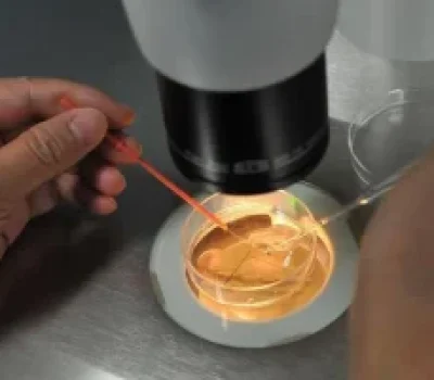 试管婴儿不是年龄的后门，拖延可能换来更少机会和更多费用