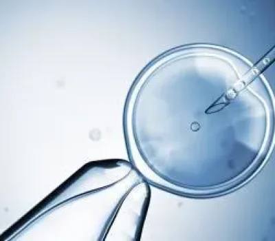 试管婴儿不是有钱就能做，能否进入治疗要看夫妻双方的病史与检查中文日韩