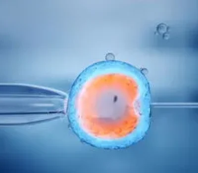 试管婴儿不是花钱买来的捷径，查清病因再决定是否去做