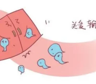 试管移植后仍会停育，胚胎染色体问题往往比子宫更关键
