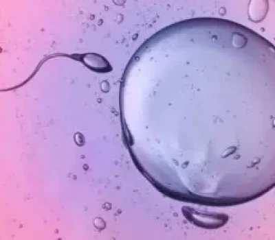 试管移植失败别先怪自己，先查胚胎质量和宫腔情况