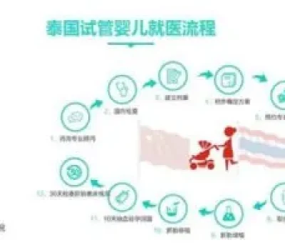 A级胚胎移植也会失败，真正要复盘的不只是胚胎等级