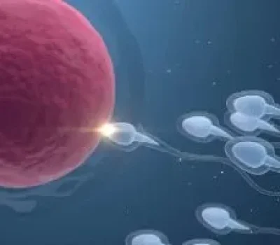 代孕不是生育套餐，孩子身份和产妇风险谁来负责？