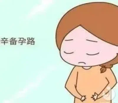 八细胞胚胎不等于必然着床，移植关键看胚胎与内膜是否匹配