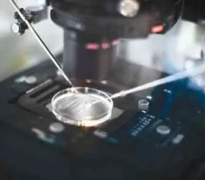冻胚不是次品，移植成败更看胚胎质量与内膜是否合拍