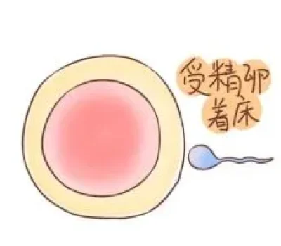 别把黑豆阿胶当生育保险，备孕更该查清夫妻双方问题