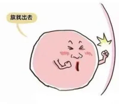 备孕不是女性独自考试，夫妻都要调整生活并按风险检查