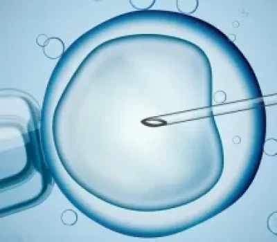 备孕别把同房当打卡，排卵试纸和软件都不能代替生殖规律