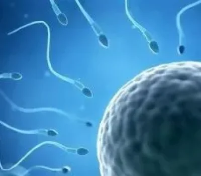 备孕别把钱砸在补品上，夫妻先把戒烟睡眠和检查做好