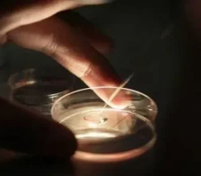 备孕别把黄金期寄托在季节上，先做夫妻双方生殖评价