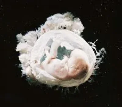 疤痕子宫能做试管吗，别让胚胎报告掩盖未修好的宫腔