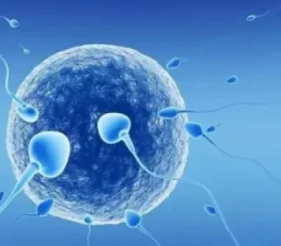 白带拉丝不等于排卵，别把身体提示当成最终答案