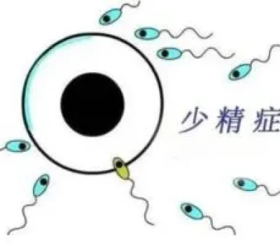 赴泰做试管不是旅游套餐，别被包成功和专车接送带偏