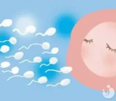 辅助生殖不是越贵越好，先查清排卵输卵管精液和卵巢储备