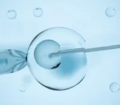 卵泡不破不等于没卵，取卵与自然排卵是两回事