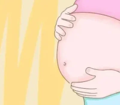 女性一生约排出四五百个卵子，别把卵泡库存和排卵次数混为一谈