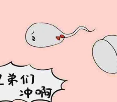 海外试管不是成功率充值卡，先看病历再算费用和风险