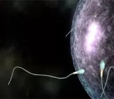 甲状腺异常会影响怀孕吗，抗体阳性并非不孕判决书