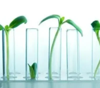 胚胎移植后别把自己躺成瓷器，正常活动遵医嘱用药