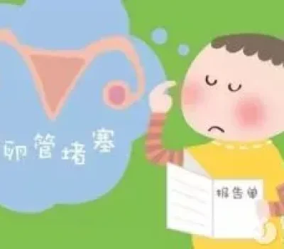 胚胎等级不是命运判词，一级未必稳妥三级也不等于没戏