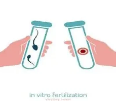 胚胎等级不是怀孕通行证，形态好也不等于移植成功