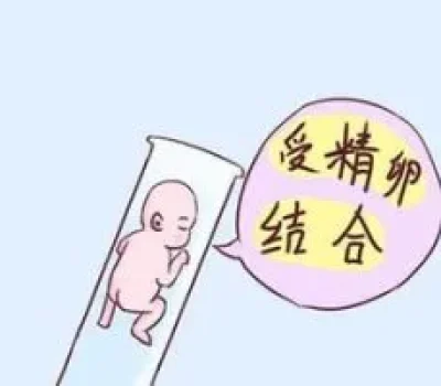 胚胎等级不是成功通行证，别让几个字母决定移植和花钱