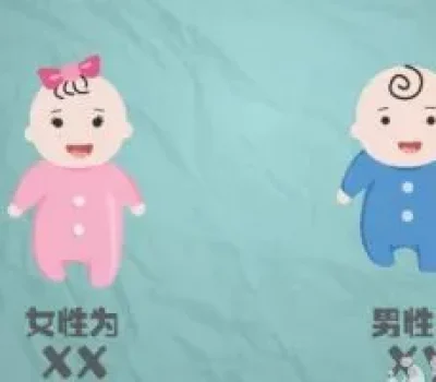 降调不是越深越好，试管治疗关键在于个体化方案与复查监测
